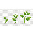 green sprout set with water drop transparent vector image vector image