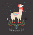 llama in red scarf and hat vector image vector image