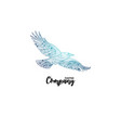colorful company icon of flying crow logo design vector image