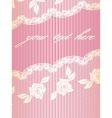 french lace background vector image vector image