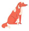 red dog sitting flat with lovely pet isolated vector image