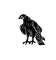 eagle standing silhouette vector image vector image