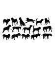 dog silhouettes vector image