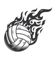 hot volleyball fire logo silhouette volleyball vector image vector image