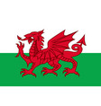 national flag wales detailed design vector image