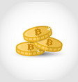 bitcoin over white vector image