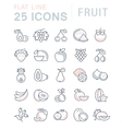 set flat line icons fruit vector image