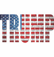 trump on a brick wall with usa flag inside vector image