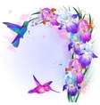 card with iris flowers and hummingbird vector image