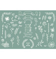 hand drawn vintage arrows feathers dividers vector image
