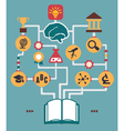 infographic of education process birth idea vector image vector image