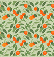 seamless pattern with mandarins on light green vector image vector image