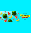 summer sale bannerbeautiful background vector image vector image