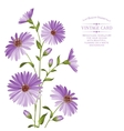 chrysanthemum flower head vector image