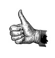 symbol thumb up hand gesture sketch vector image