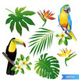 set of tropical flowers leaves and birds vector image