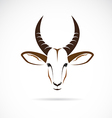 image of an deer head impala vector image