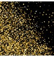 gold black vector image