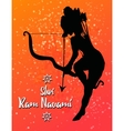beautiful card vector image vector image