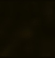 black background with gold glitter pattern vector image