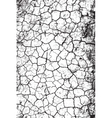 dry cracked texture vector image vector image