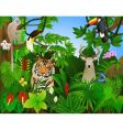 tropical animal in the jungle vector image