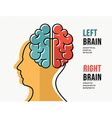 left and right brain concept with head silhouette vector image