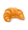 crispy croissant for breakfast vector image vector image