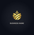 round organic leaf gold logo vector image vector image