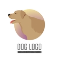 golden retriever dog logo on white background vector image vector image