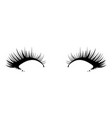 logo of eyelashes stylized hair abstract lines vector image vector image