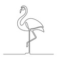 doodle line flamingo vector image vector image