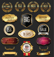 luxury retro badges gold and silver collection 6 vector image