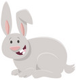 cartoon happy rabbit or bunny animal character vector image