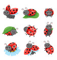 cartoon ladybug funny cute red beetle vector image vector image
