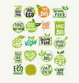 eco organic product vector image