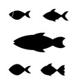 fish icon or logo vector image