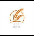 premium rice great quality design concept vector image