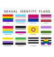 sexual identity pride flags set lgbt symbols flag vector image