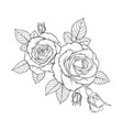 beautiful black and white bouquet rose and leaves vector image vector image