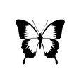 butterfly image vector image vector image