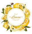 lemon round banner vector image vector image