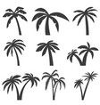 set of palm tree icons isolated on white vector image