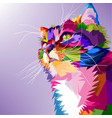 cat cute pop art colorful vector image vector image