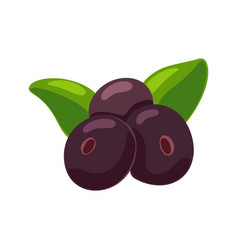 acai berries with green leaves color emblem vector image vector image