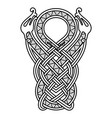 ancient celtic scandinavian design celtic vector image vector image