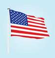 usa flag vector image