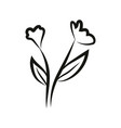flowers line hand drawn vector image vector image