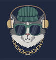 cat headphones vector image