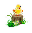 funny yellow baby chick on a stub in gras vector image